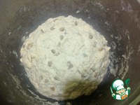 ���� �������� "�����������" �����������