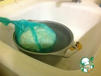 ���� �������� "�����������" �����������