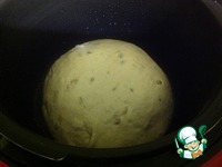 ���� �������� "�����������" �����������