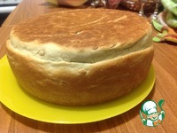 ���� �������� "�����������" �����������