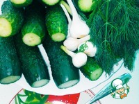 ����������� ������ ������ ������ � ������ �����������