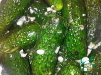 ����������� ������ ������ ������ � ������ �����������