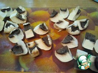 ���� � ��������� ���� �����������