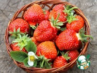 ���������� ������� �����������