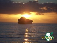 ��������� �������� ���� �����������