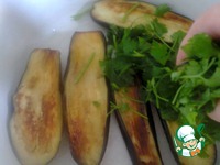 ��������� "����" � �������� � ������� � �������� �����������