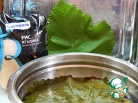 ����� � ������� ������ �����������