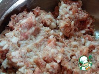 ����� � ������� ������ �����������