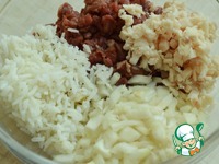 ���-����� � ��������� � ����� �����������