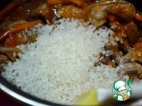 ������ ������� ��� �����������