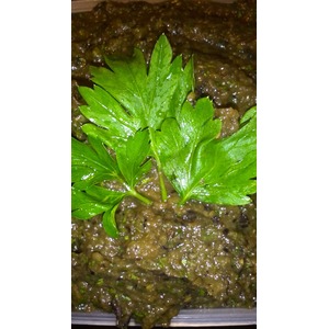 ����������� ���� � ������