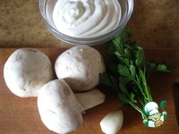 ������� �� ���������� � ������� � ����� �����������