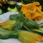 ������������� ������ ������