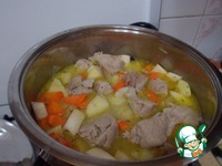   (Irish stew) 