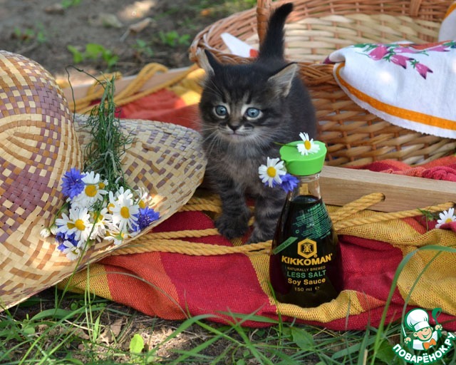 ������ ����, ������ ������