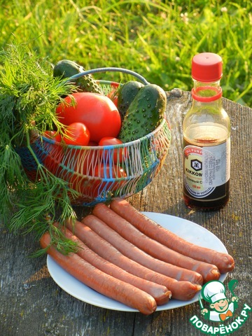 ������ ���������