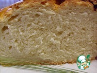 ����� �������� ���� �����������