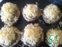 ������������� ���������� "�������" �����������