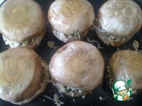 ������������� ���������� "�������" �����������