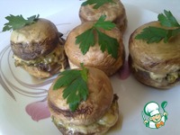 ������������� ���������� "�������" �����������