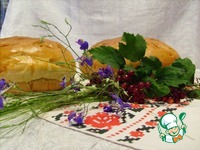 ����� �������� ���� �����������