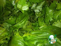 ��������� ���� ���� �����������