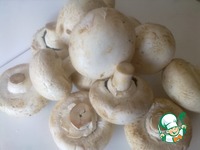 ������������� ���������� "�������" �����������