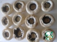 ������������� ���������� "�������" �����������