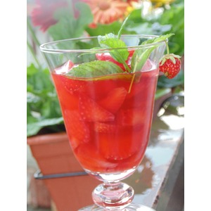 ������ "������ ��������"