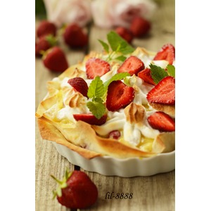 ���� � �����, ��������� � ����� ���������