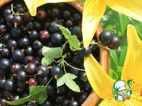 ������ ��������� � ������ �� ������ �����������