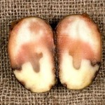 ��� ���������� ������������� ���������