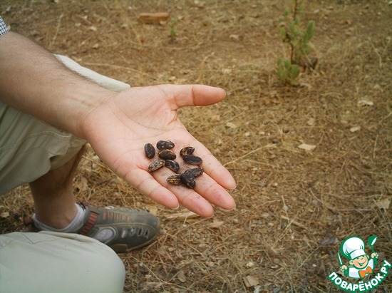 это ручки лентяев