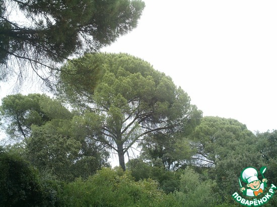 ����������������� ���