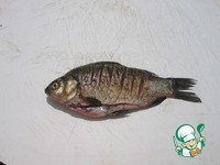 ����������� �������� �����������