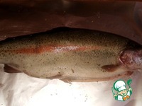 ������ ���������� � �������� �����������