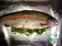 ������ ���������� � �������� �����������