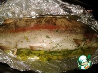 ������ ���������� � �������� �����������