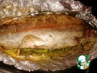 ������ ���������� � �������� �����������