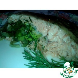 ������ ���������� � ��������