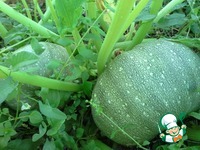 �����-��������� �� �������� � ����������� �����������