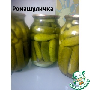 ���������������� ������ � �������