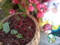 ���� �� ������� ��������� ��� ����� �����������