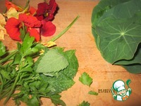 �������� �����������