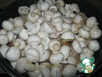 ������� � ������� � ������� ������� �����������