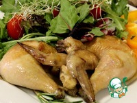 ������ � ���������� � ������������ ����� �����������