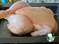 ����� �� ������ � �������� � ������ ���� �����������