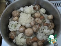 ������� ������� "�������" �����������