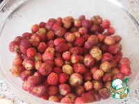 ������� � ������� ��������� �����������