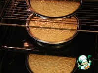 �������-��������� ���� �����������